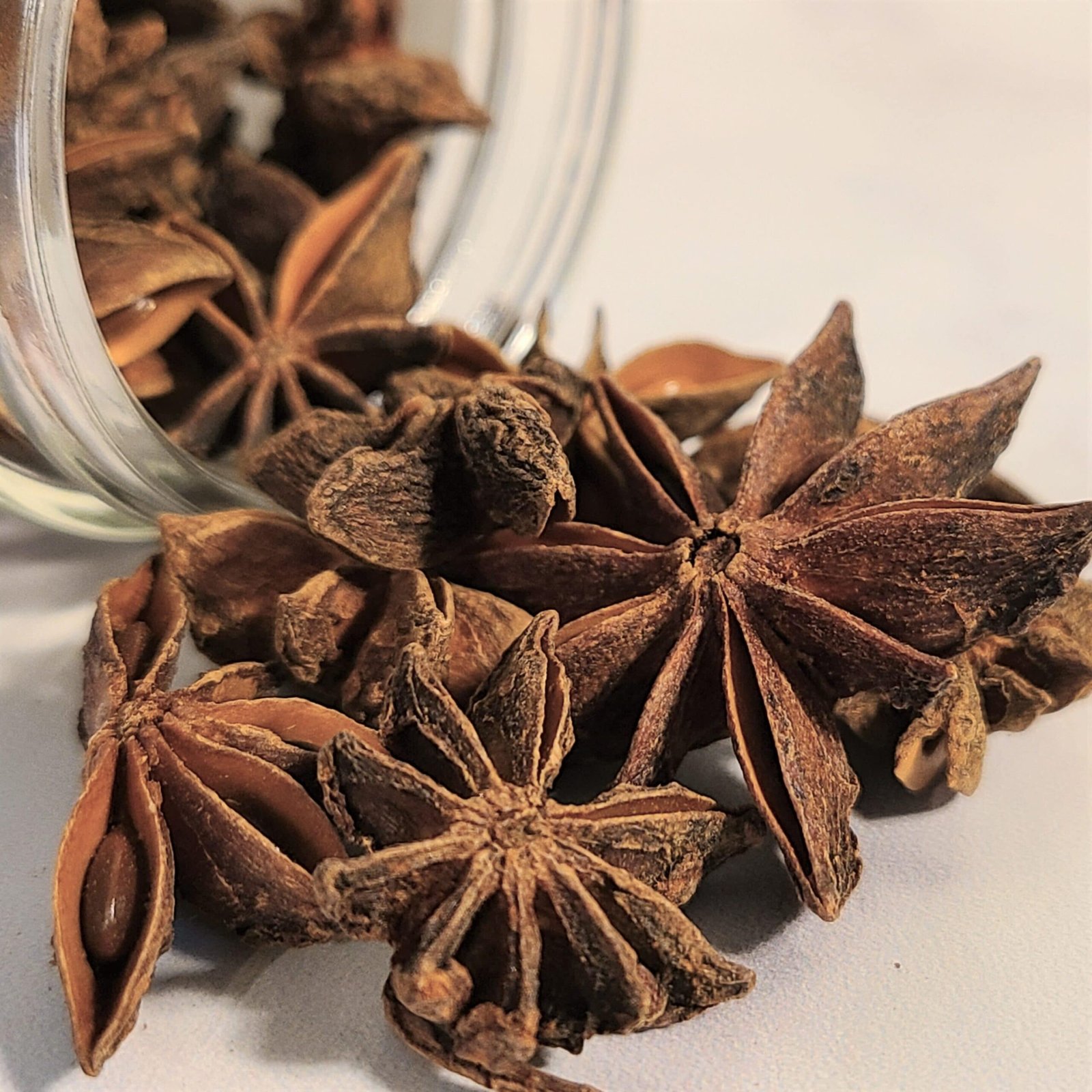 Organic Star Anise Seeds