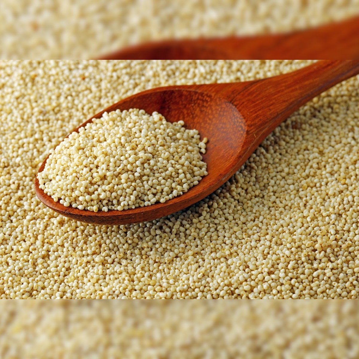 Organic Brown Poppy Seeds
