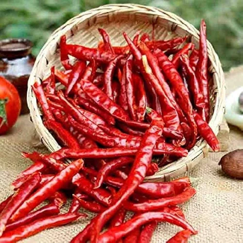 Organic Dried Red Chilli