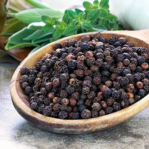 Organic Black Pepper Seeds