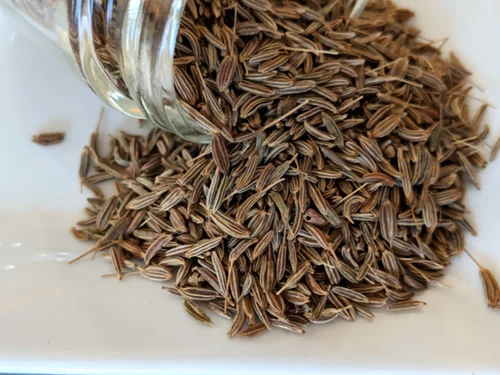 Organic Caraway Seeds