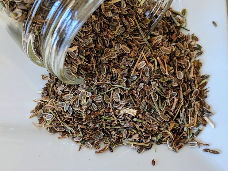 Organic Dill Seeds